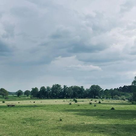 Ferienwohnungen Stolzenhagener 7 Lunow-Stolzenhagen Esterno foto