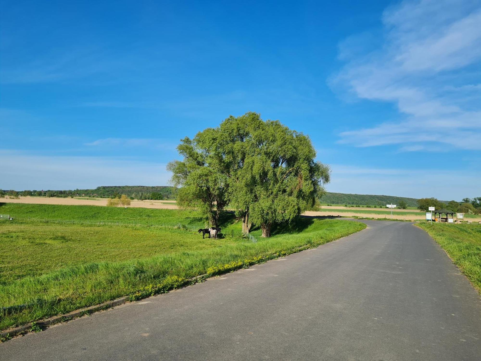 Ferienwohnungen Stolzenhagener 7 Lunow-Stolzenhagen Esterno foto