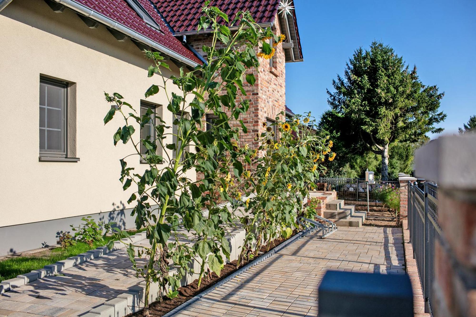 Ferienwohnungen Stolzenhagener 7 Lunow-Stolzenhagen Esterno foto
