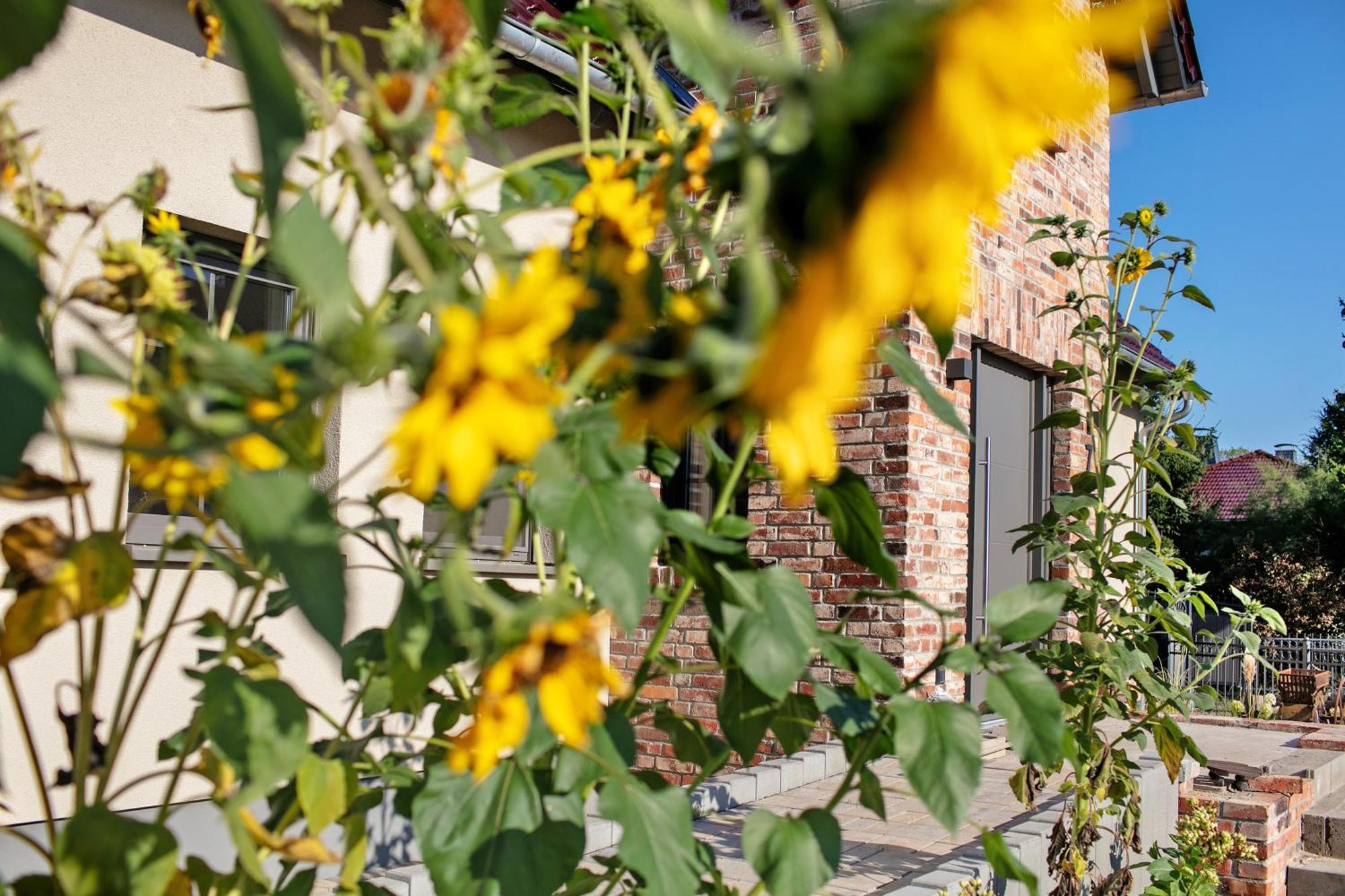 Ferienwohnungen Stolzenhagener 7 Lunow-Stolzenhagen Esterno foto